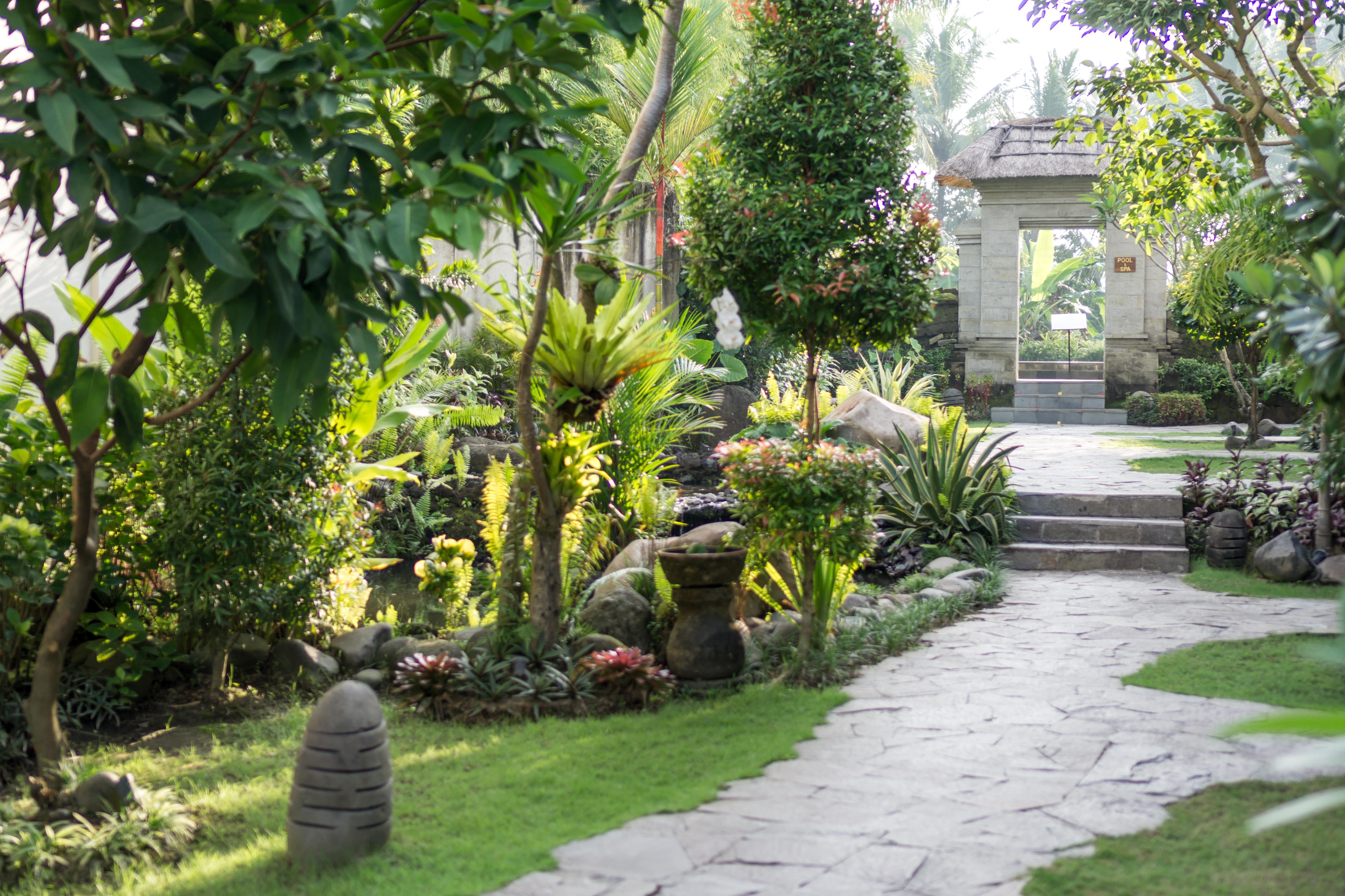 Radha Phala Resort & Spa Убуд Экстерьер фото