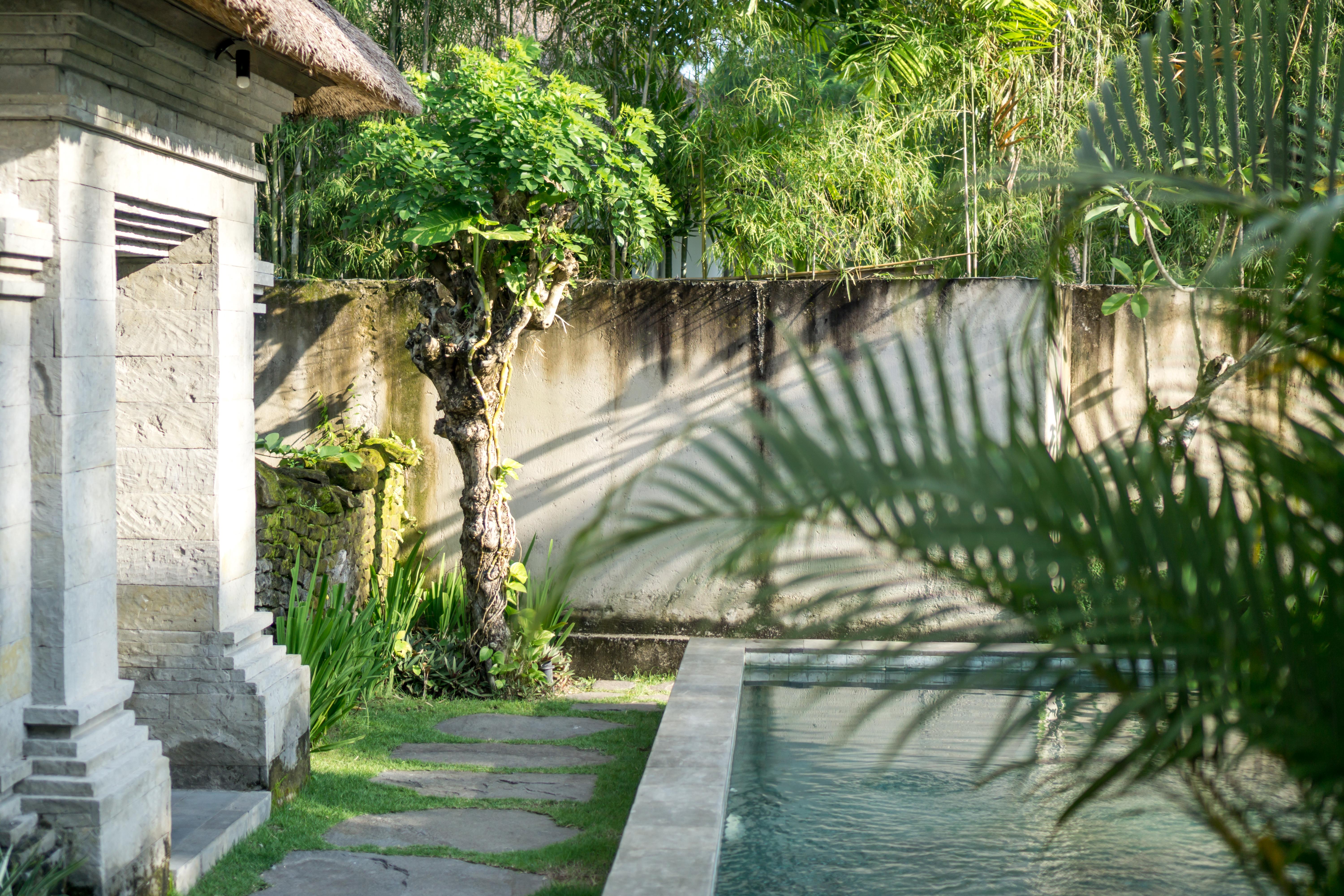 Radha Phala Resort & Spa Убуд Экстерьер фото